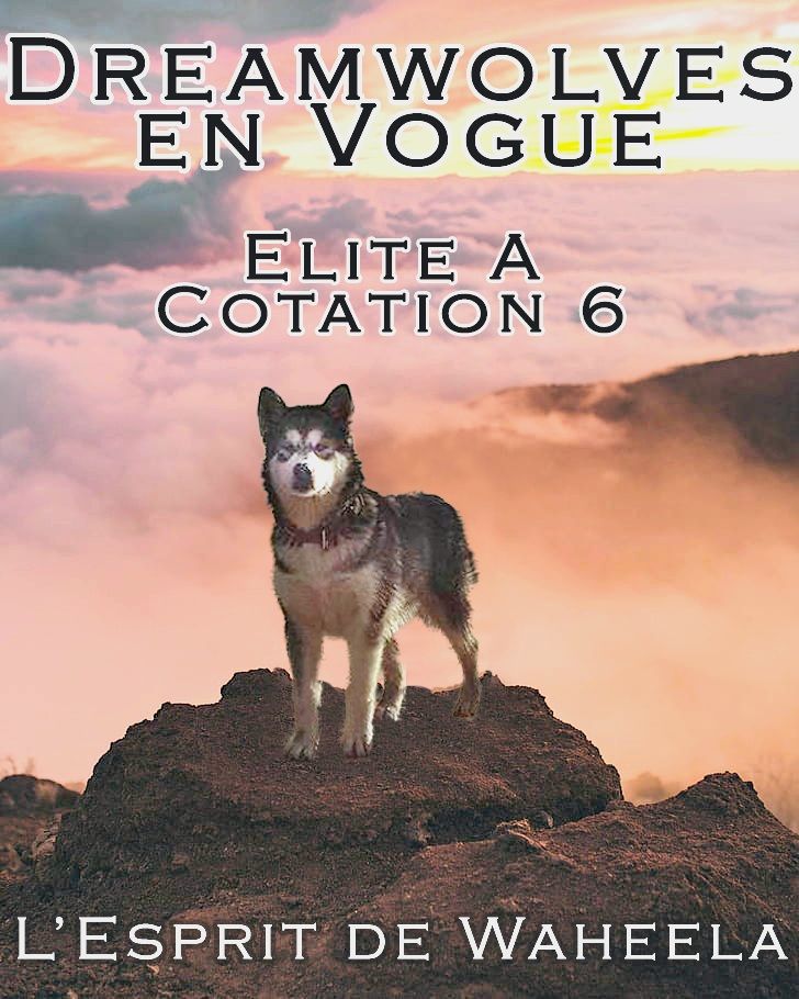 De L'Esprit De Waheela - Cotation 6 ELITE A pour Dreamwolves en VOGUE!