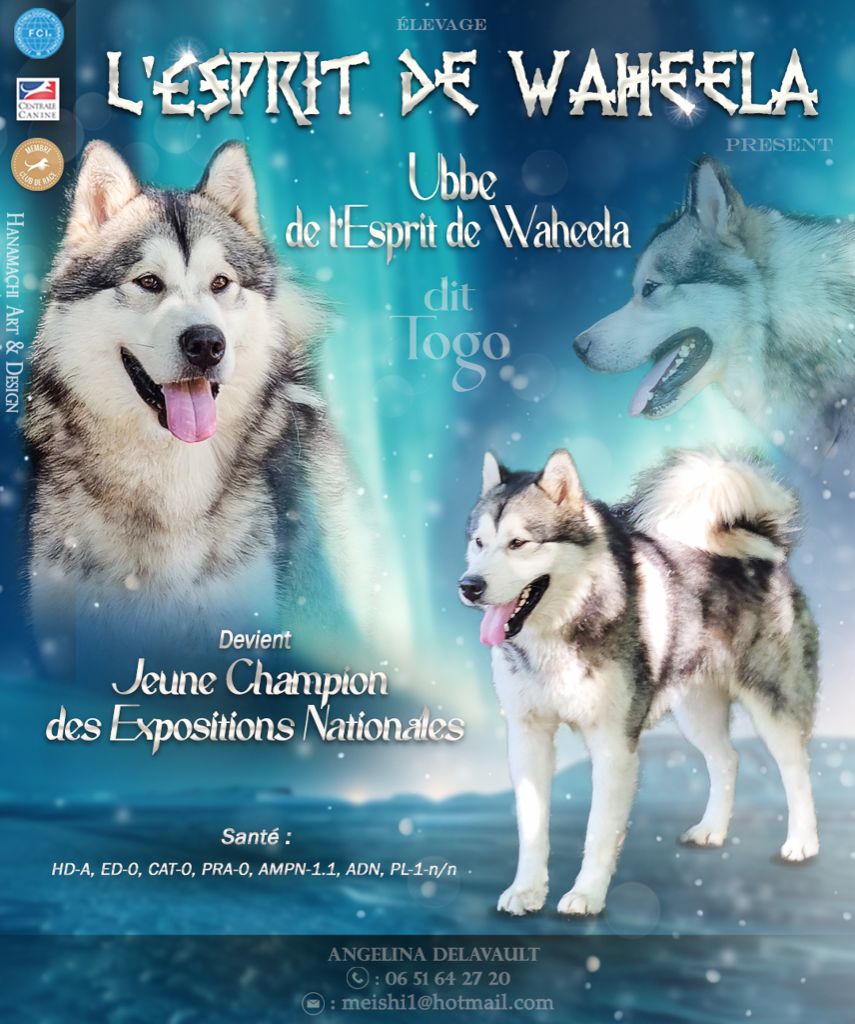 CH. Ubbe De L'Esprit De Waheela