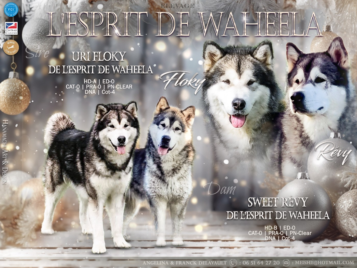 Naissance de bébés en décembre