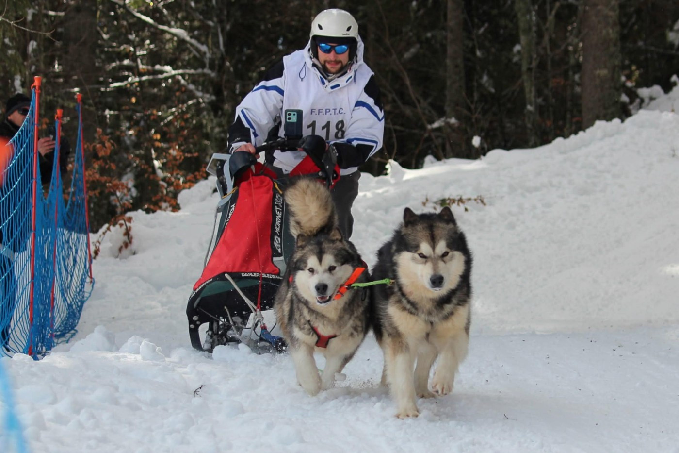 Nos chiens montent sur le podium.