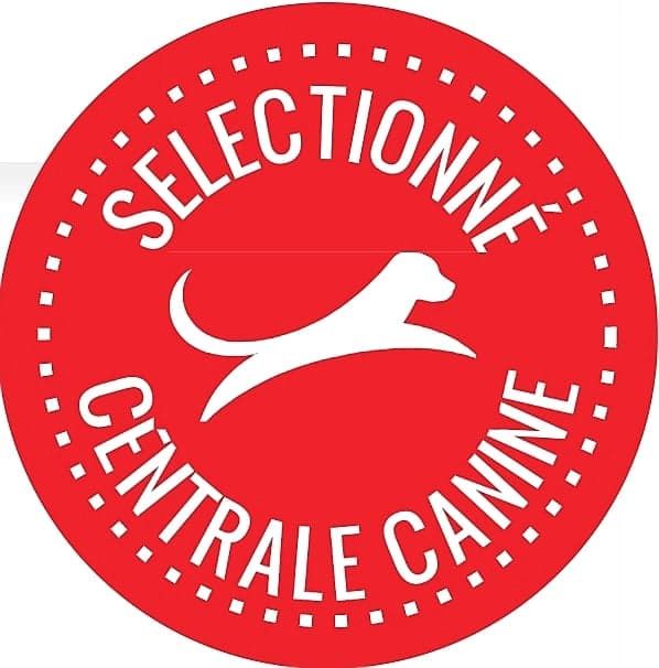 De L'Esprit De Waheela - Votre elevage est sélectionné par la SCC !